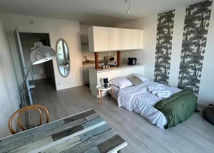 Studio Le Bonheur Avec Parking Sous-Sol Privatif